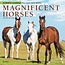 Magnificent Horses Calendar 2025