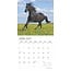 Calendrier des chevaux magnifiques 2025