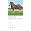 Magnificent Horses Calendar 2025