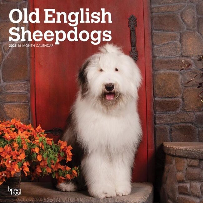 Bobtail / Old English Sheepdog Calendar 2025