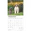 Portuguese Water Dog Calendar 2025