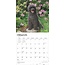 Portuguese Water Dog Calendar 2025