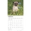 Calendario Pug 2025