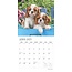 Adorable Puppies Kalender 2025