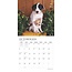 Adorable Puppies Kalender 2025