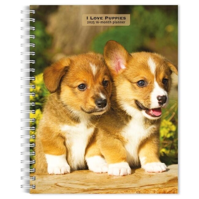 Browntrout Agenda I Love Puppies 2025