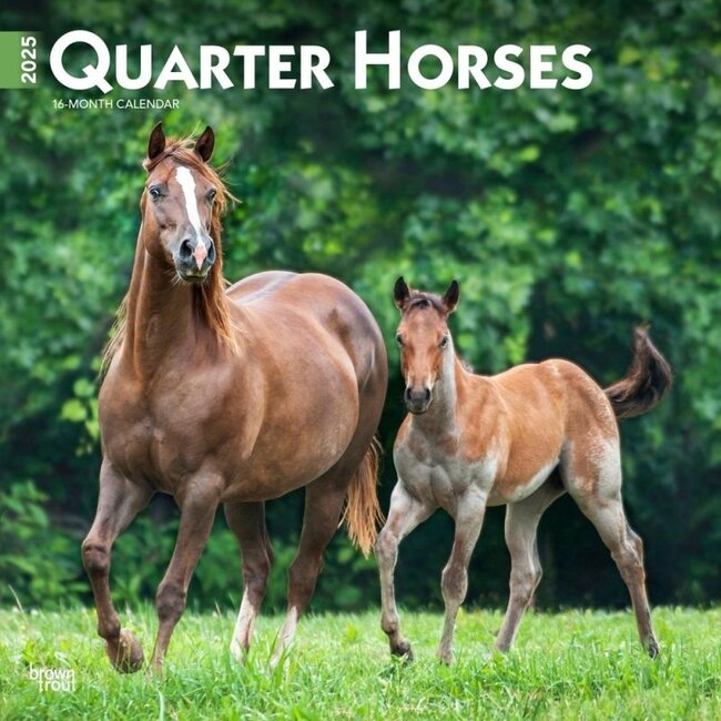 Quarter Horse Calendar 2025