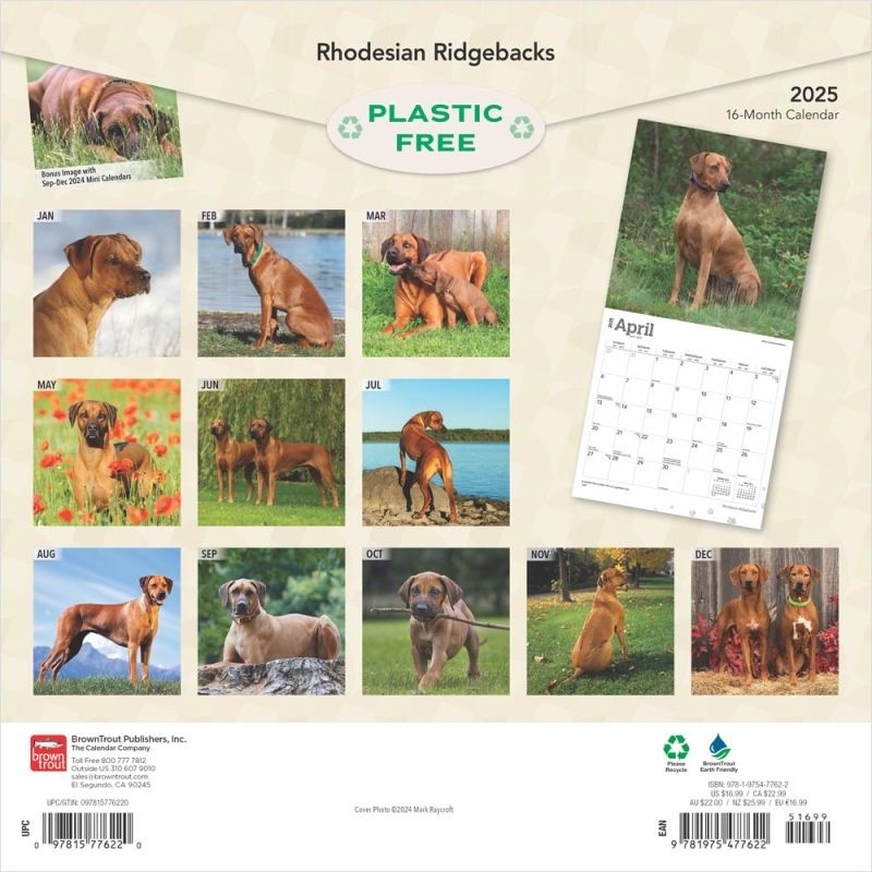 Acheter Rhodesian Ridgeback Calendar 2025 Commander facilement en