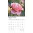 Calendrier des roses 2025