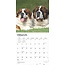 Saint Bernard Calendar 2025