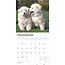 Calendario Samoyedo 2025