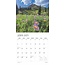 Inspiration Calendar 2025