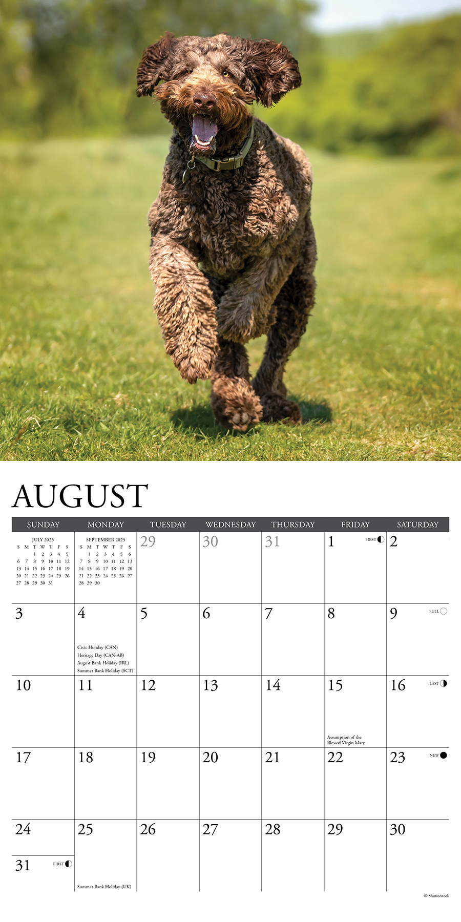 Buy Labradoodle Calendar 2025 Order easily online