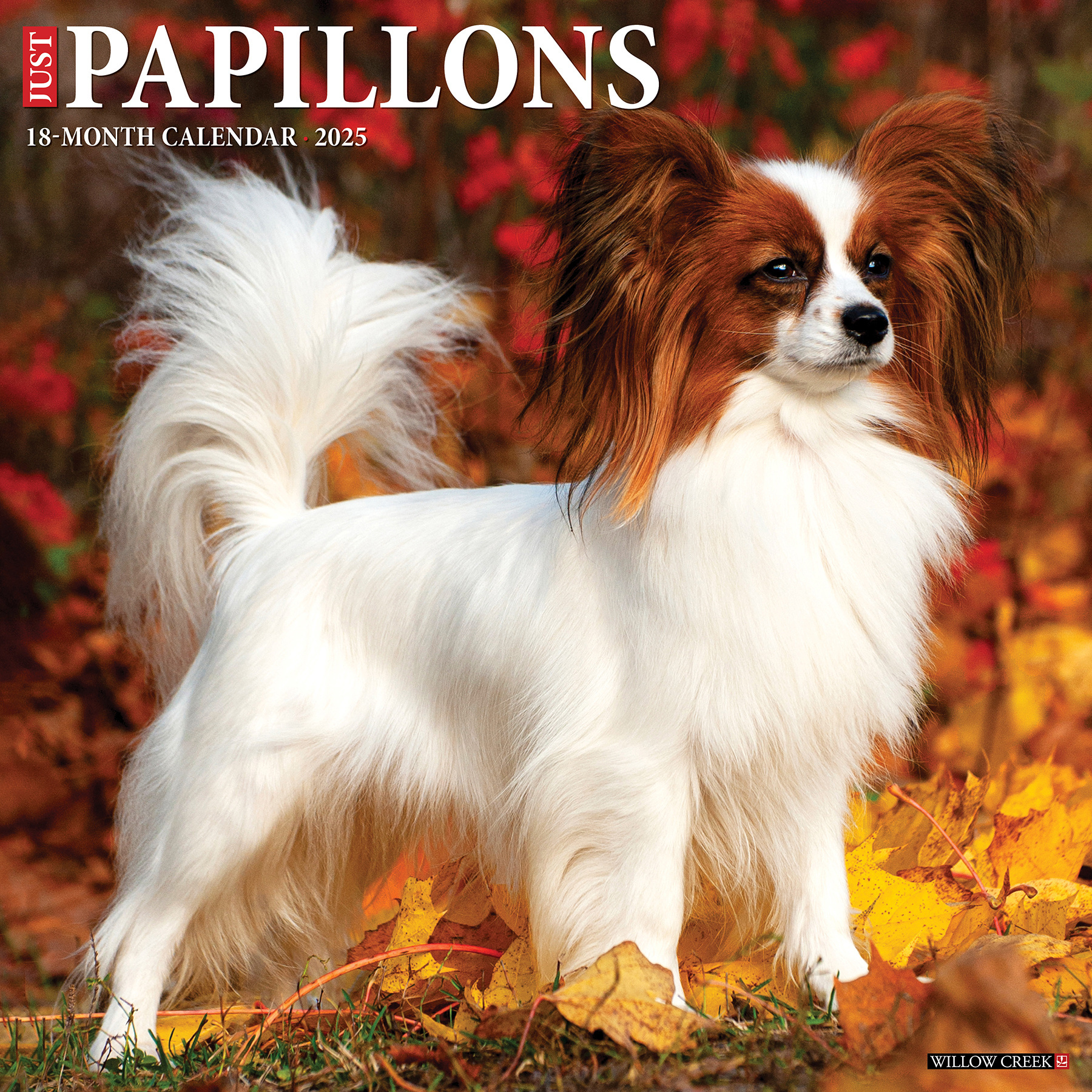 Buying Papillon Calendar 2025 simply order online