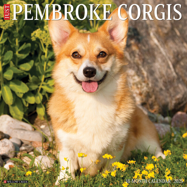 Welsh Corgi Pembroke Calendar 2025