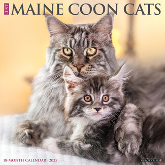 Willow Creek Maine Coon Calendar 2025