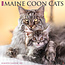 Willow Creek Calendario Maine Coon 2025