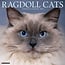 Willow Creek Calendrier Ragdoll 2025