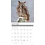 Owls Calendar 2025