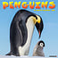 Willow Creek Pinguin-Kalender 2025