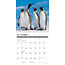 Penguin Calendar 2025