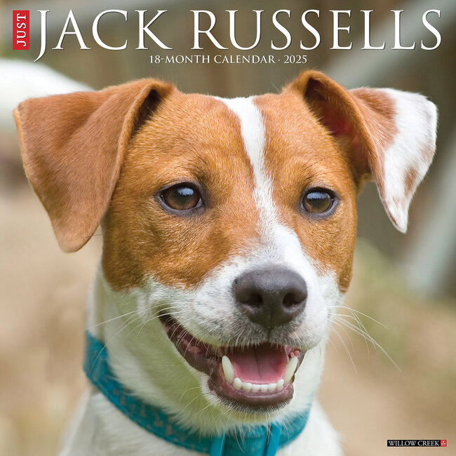 Willow Creek Jack Russell Terrier Calendar 2025