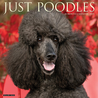 Willow Creek Poodle Calendar 2025