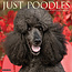 Willow Creek Poodle Calendar 2025