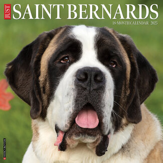 Willow Creek Saint Bernard Calendar 2025