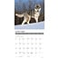 Siberian Husky Kalender 2025