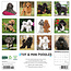 Toy and Miniature Poodle Calendar 2025