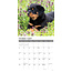 Rottweiler Puppies Calendar 2025