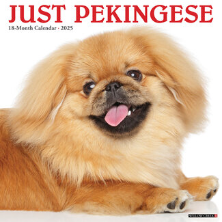 Willow Creek Pekinese Kalender 2025