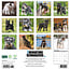 Miniature Schnauzer Calendar 2025