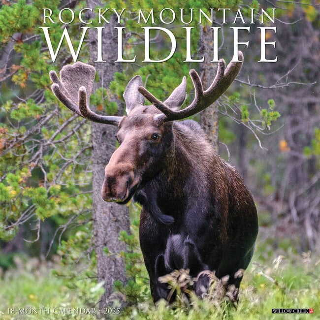 Willow Creek Rocky Mountain Wildlife Calendar 2025