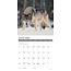 Rocky Mountain Wildlife Calendar 2025