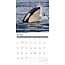 Orca Calendar 2025