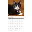 Tuxedo Cats Calendar 2025