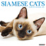 Willow Creek Calendario siamese 2025