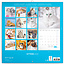 Kittens Kalender 2025