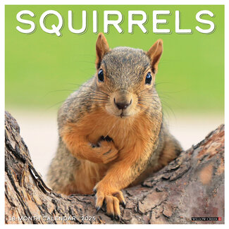 Willow Creek Squirrel Calendar 2025