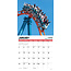 Roller Coasters Calendar 2025