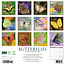 Butterfly Calendar 2025