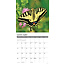 Butterfly Calendar 2025