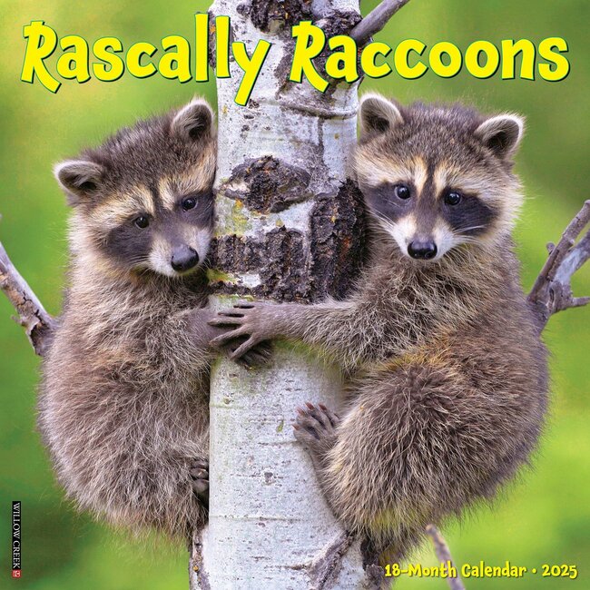 Naughty Raccoon Calendar 2025