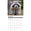 Naughty Raccoon Calendar 2025