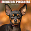 Willow Creek Miniature Pinscher Calendar 2025