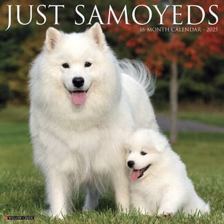 Willow Creek Samoyed Calendar 2025