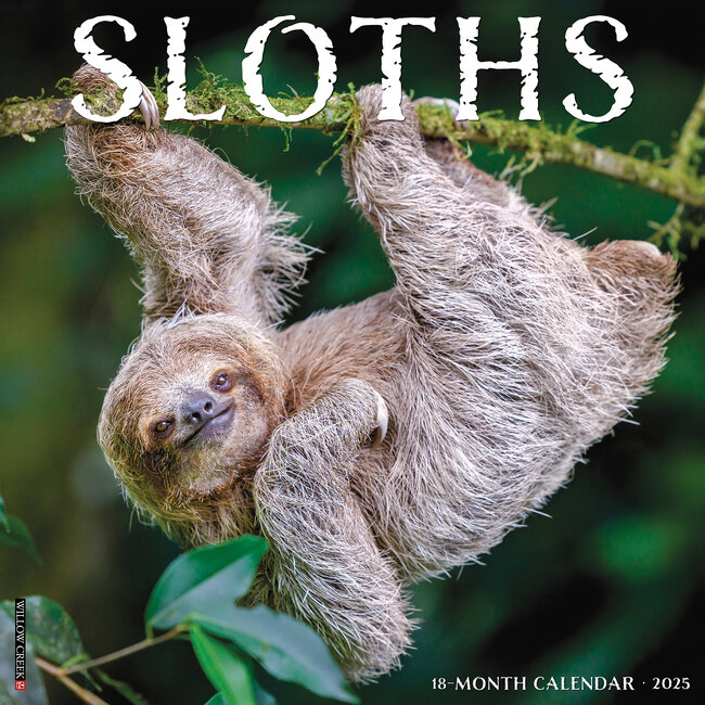 Willow Creek Sloth Calendar 2025