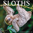 Willow Creek Sloth Calendar 2025